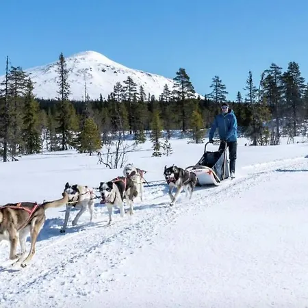 Koselig Sommer Og Vinterhytte * Trysil