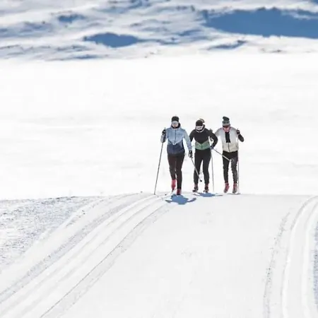 Koselig Sommer Og Vinterhytte *