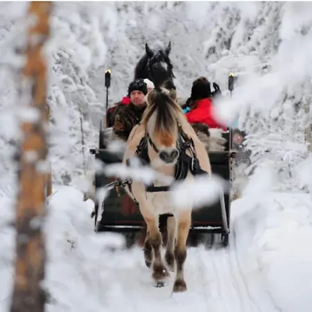 Koselig Sommer Og Vinterhytte * Trysil
