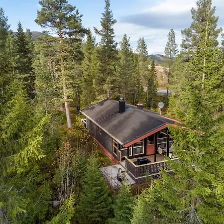 Koselig Sommer Og Vinterhytte Casa de Férias Trysil