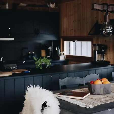 Tatil Evi Koselig Fjellhytte I & Turmuligheter Trysil