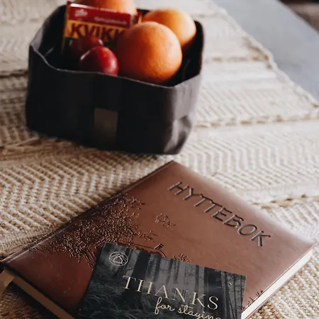 Koselig Sommer Og Vinterhytte Σπίτι διακοπών